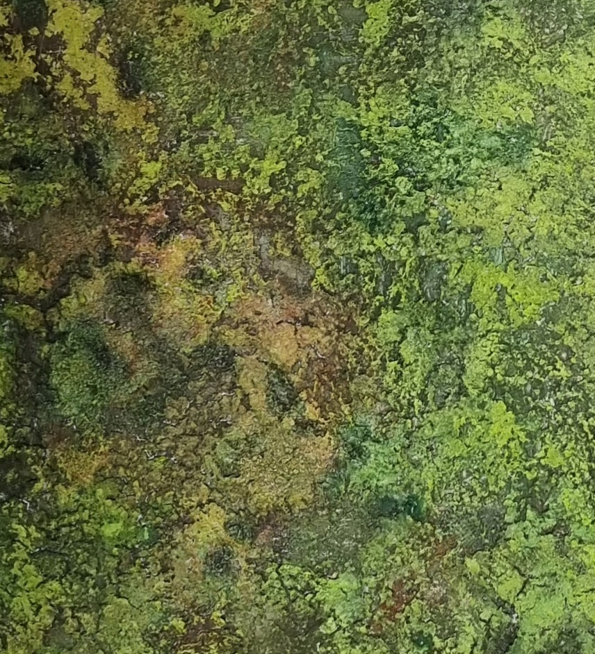 moss covers the earth (acryl mixed media 60 op 80 cm)